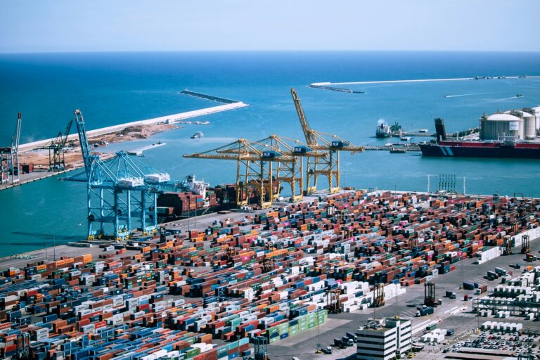 Port and cargo infrastructure for specialized logistics